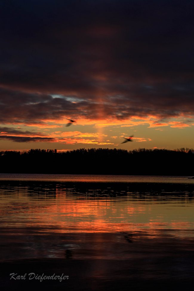 sun-pillar-1-28-2017-Karl-Diefenderfer-Quakertown-PA-e1485689933375.