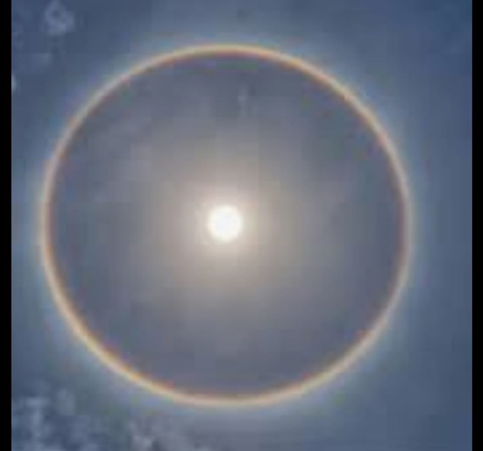 sundog.