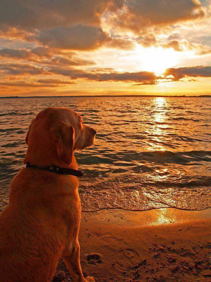 sunrise.
