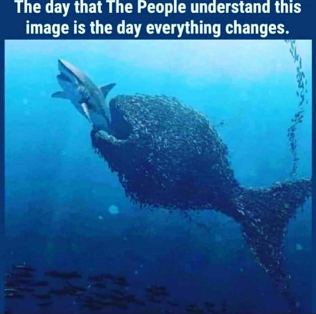 thepeopleunderstandthis.