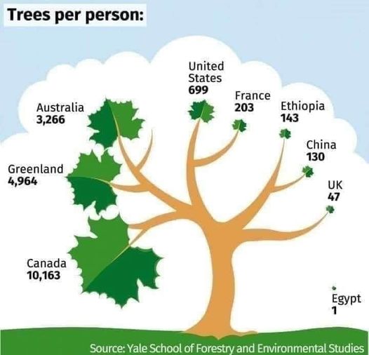 treesperperson.