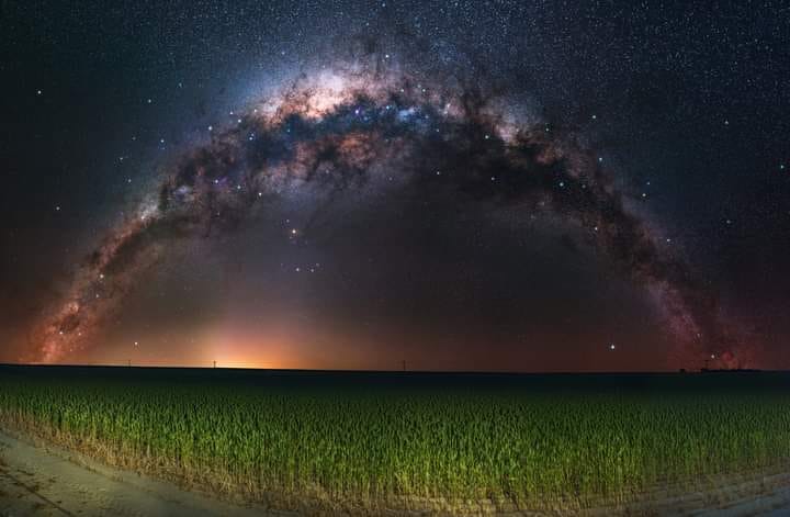 trevordobson.