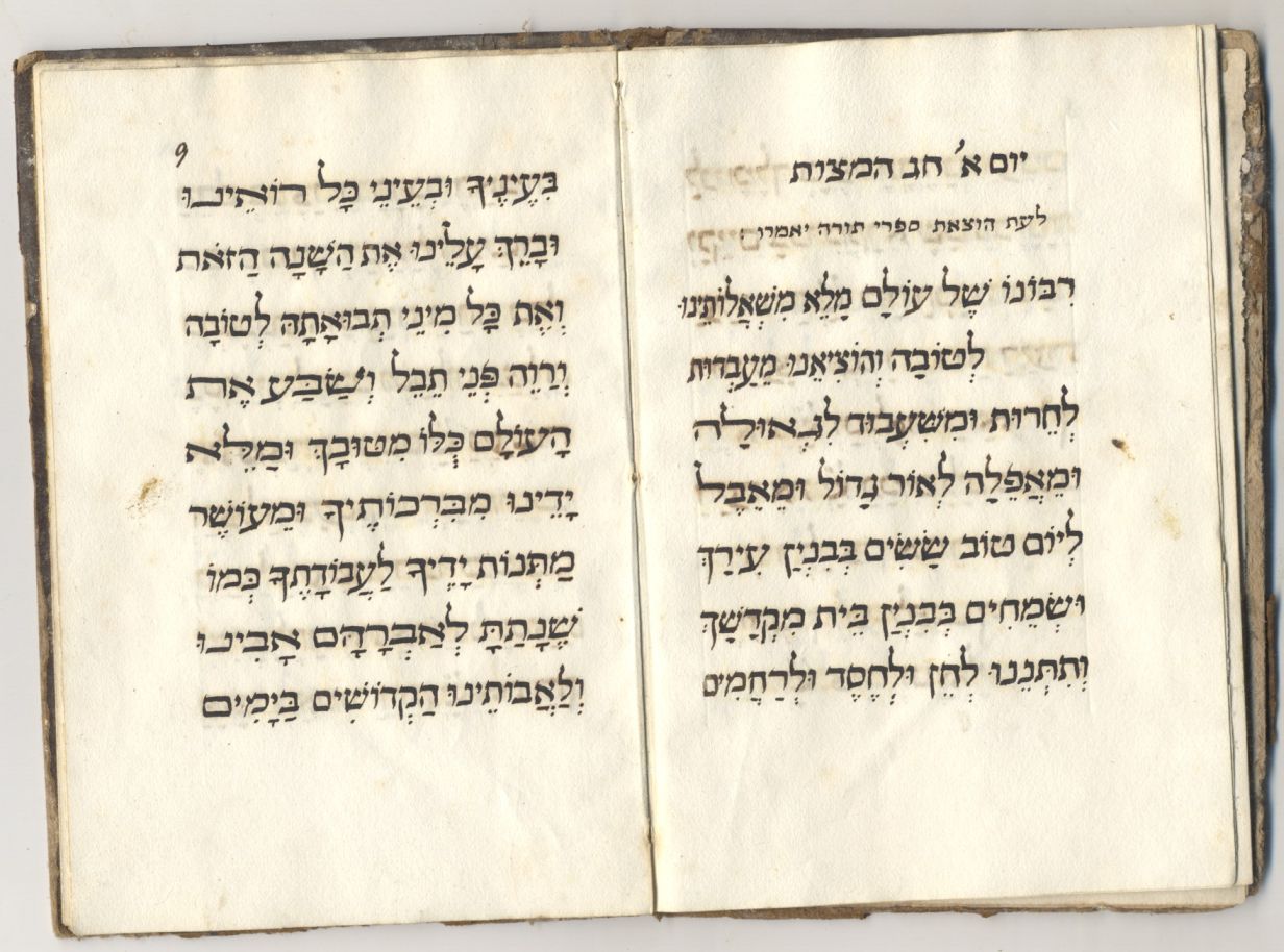 tri6.