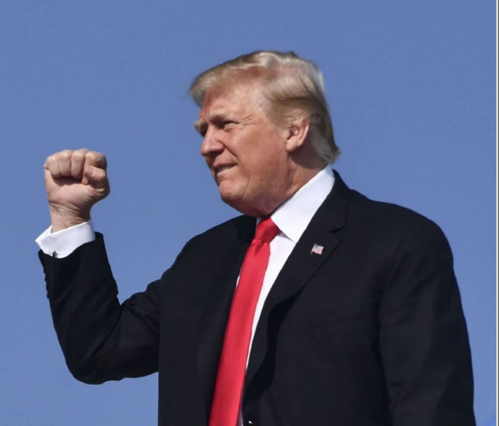 trumpfist.