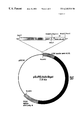 US6245531-drawings-page-4.