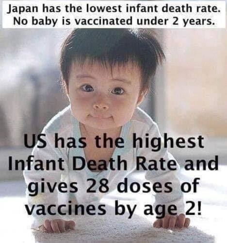 VAX28BY2.JPG