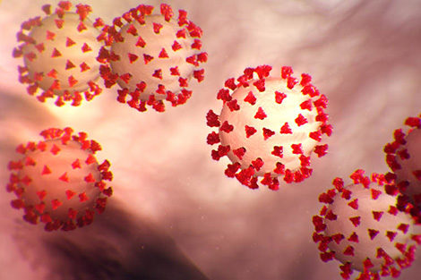 Virus-image-Harvard-University.