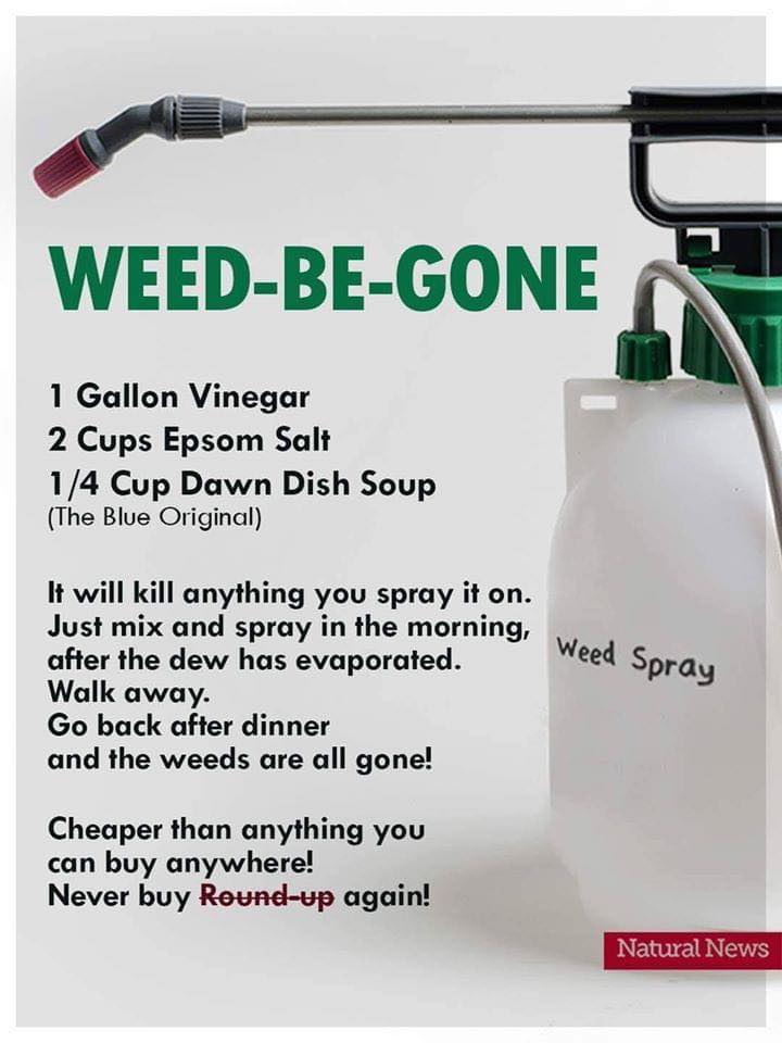 weedbegone.