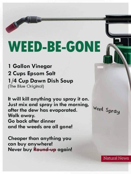 weedbegone2.