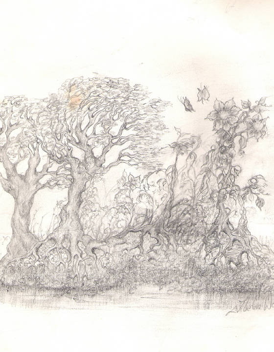 wilderness__w560h720.