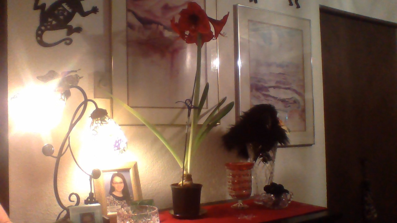 WIN_20141205_221521.JPG