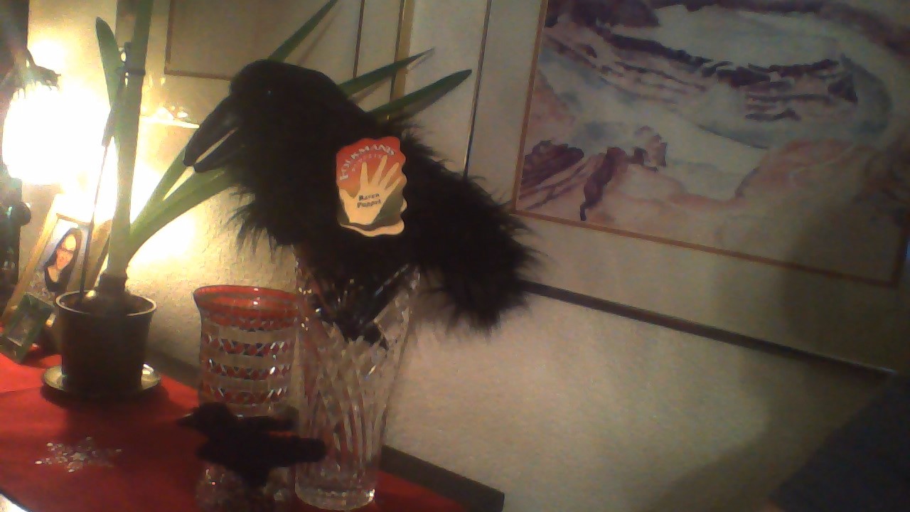 WIN_20141205_222330.JPG