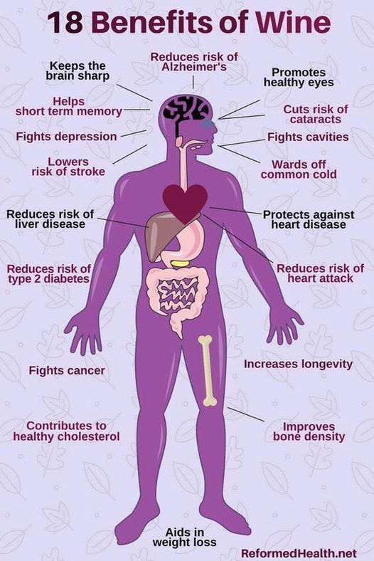 winebenefits.