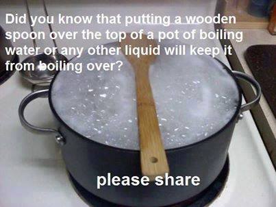 woodenspoon.