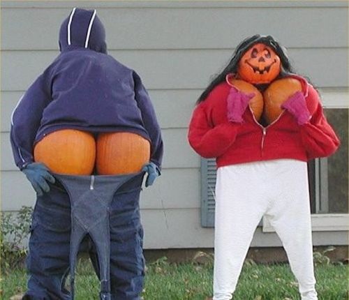 would-ever-turn-pumpkins-into--large-msg-12555353795.