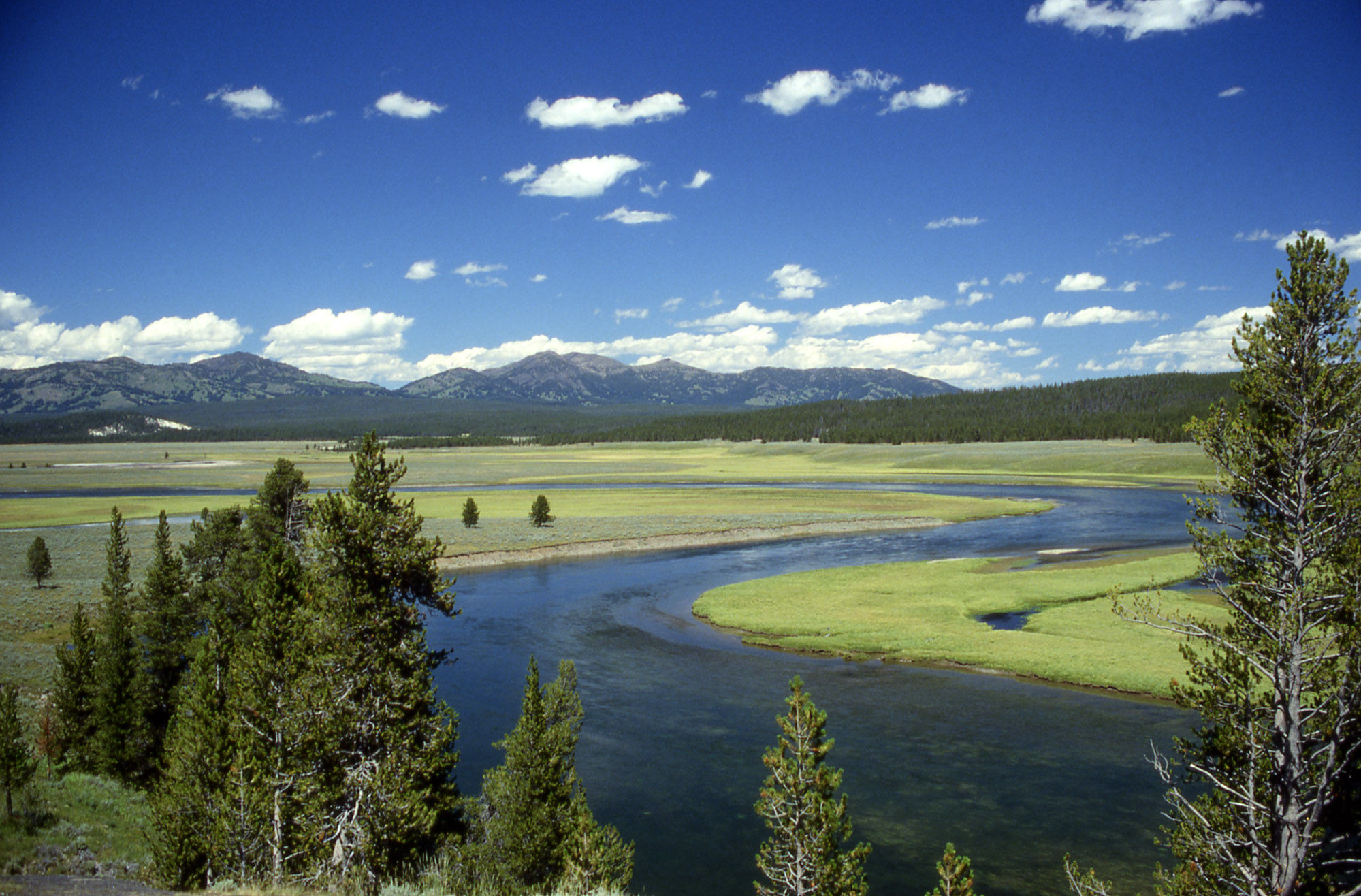 Yellowstone_River_in_Hayden_Valley.