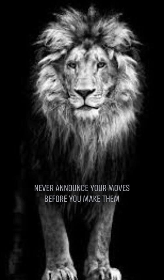 yourmoves.