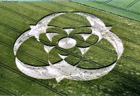 6-12cropcircles-2005inghilterra12giugno-whiltshire.